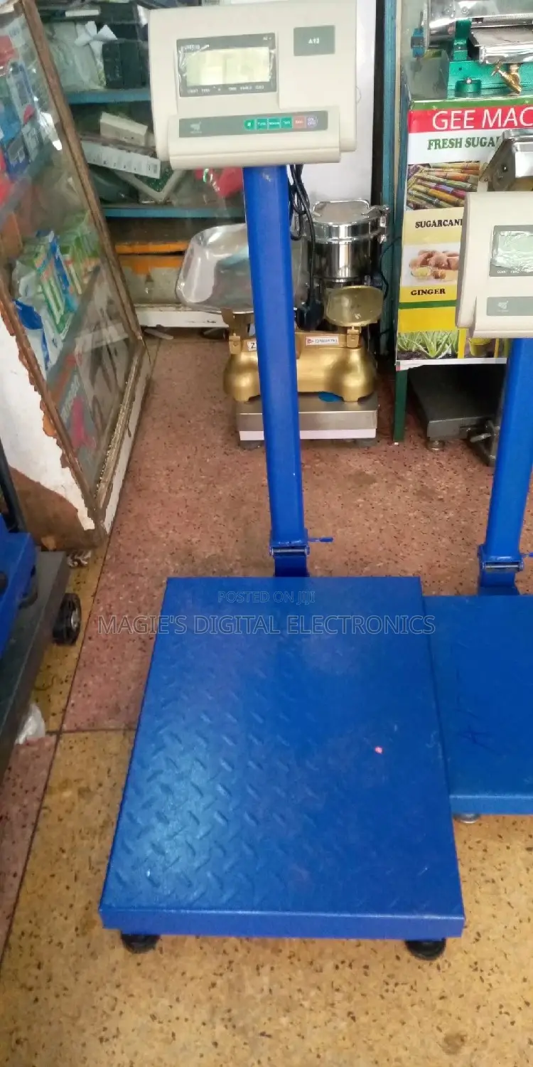 Digital Platform Scale A12