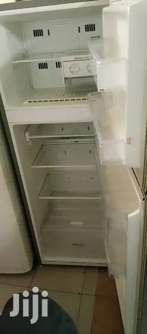 Silver Lg Fridge