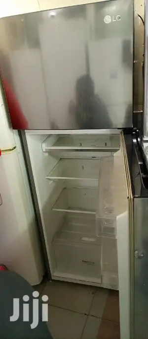Silver Lg Fridge