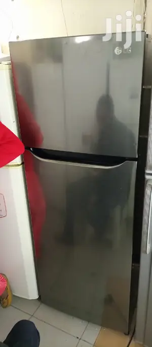 Silver Lg Fridge