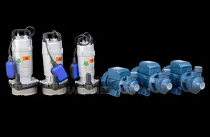 Electric Submersible Water Pump