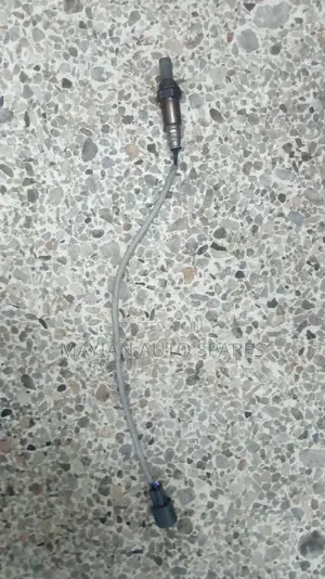 Oxygen Sensor For Rav4.