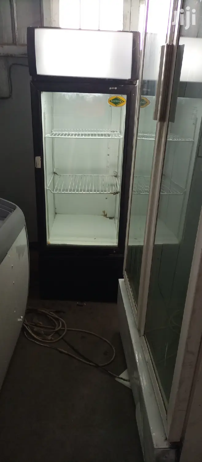 Twin Door Display Fridge