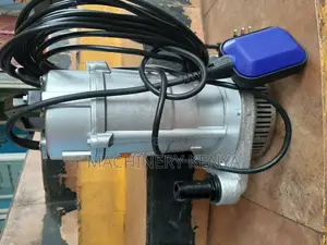Electric Submersible Water Pump