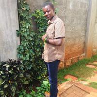 Snap Point Invst LTD logo