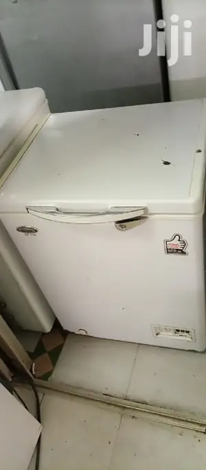 Mini Freezer
