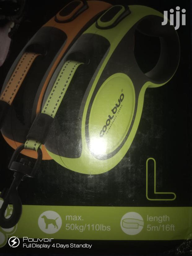 Retractable Dog Leash - 5m - main view