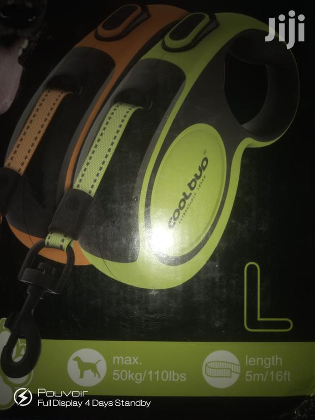 Retractable Dog Leash - 5m - thumbnail 6