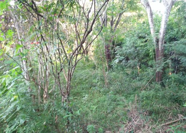 Land in Old Kitisuru - thumbnail 3