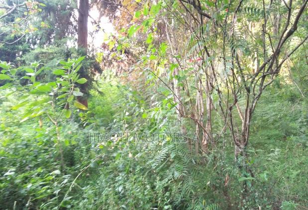 Land in Old Kitisuru - thumbnail 4