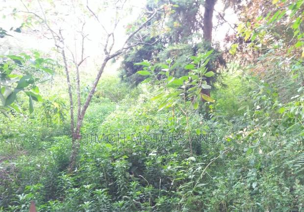 Land in Old Kitisuru - thumbnail 5