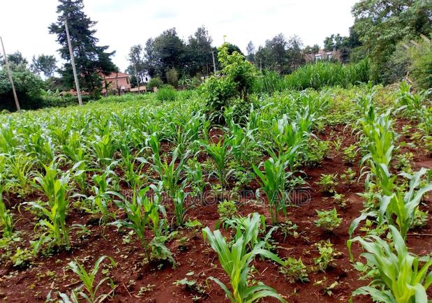 Land in New Kitisuru - thumbnail 3