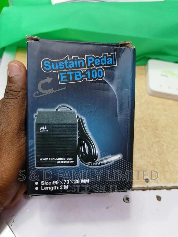 Sustain Pedal