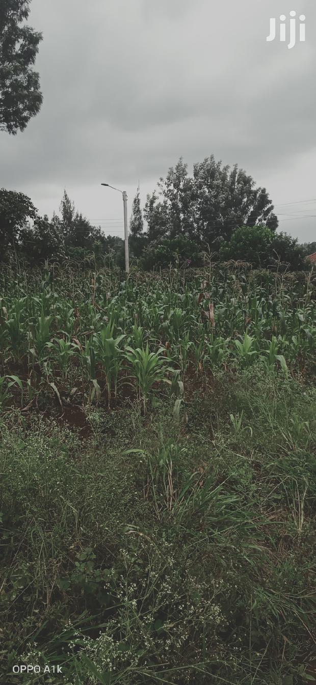 1/4 Acre for Sale in Kiamumbi Kamiti Rd.