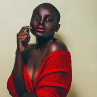 Wildisrael Allens logo