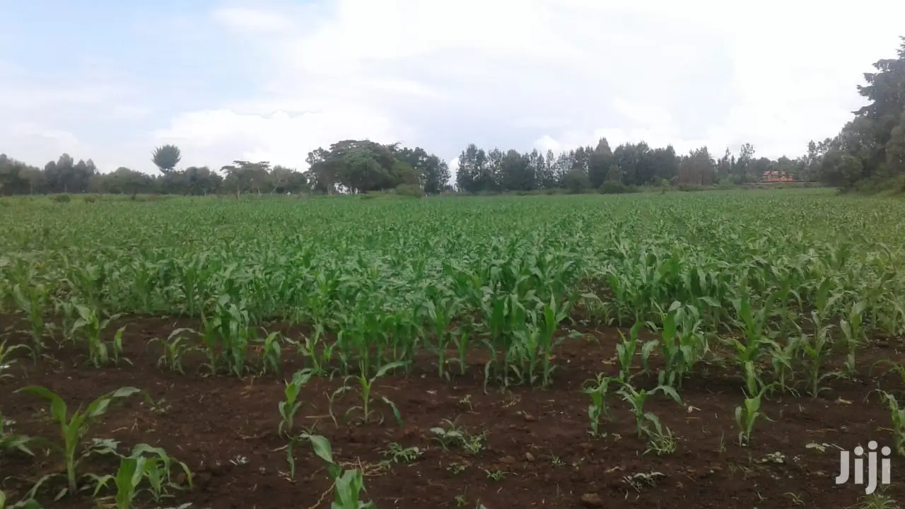10 Acres of Land for Sale in Njoro Land & Plots for Sale, Martin