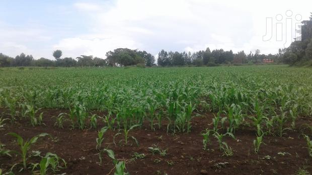 10 Acres of Land for Sale