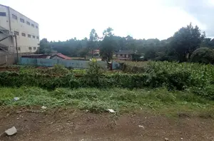 Land Along Naivasha Highway