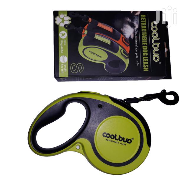 Retractable Dog Leash - main view