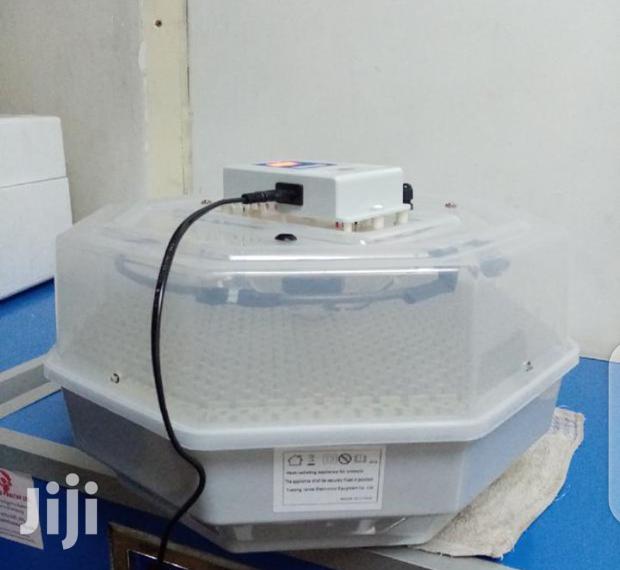 Original 60 Egg Incubator - main view