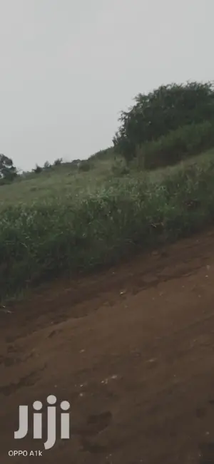 Selling 1/2 Acre in Kiukenda Off Kamiti Rd.