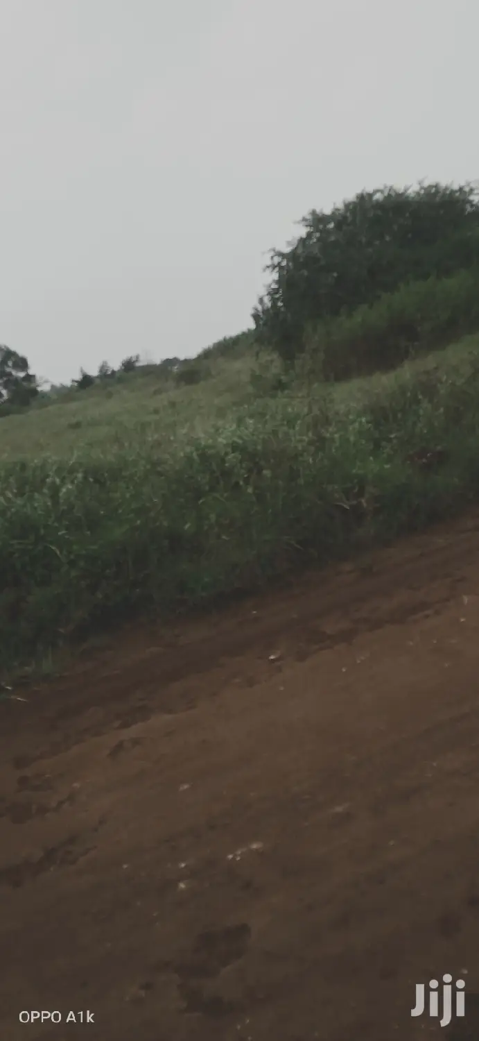 Selling 1/2 Acre in Kiukenda Off Kamiti Rd.