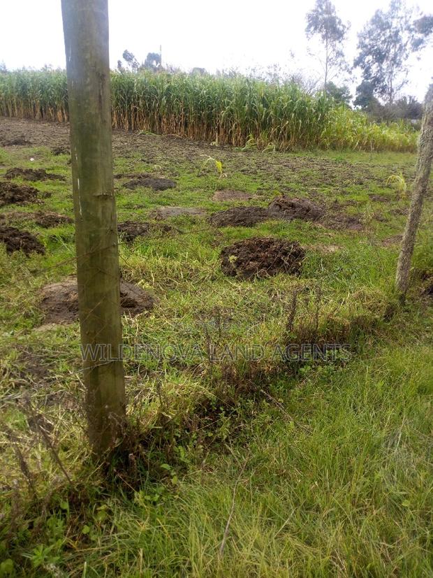 1acre on Sale at Ngarariga Kiambu