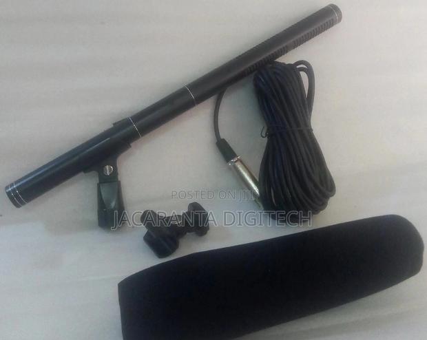 Panasonic Boom Mic With Cable