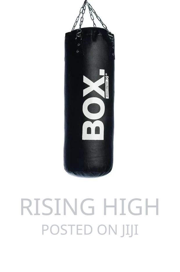 Punching Bag - main view