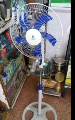 Risk Free Stand Fan