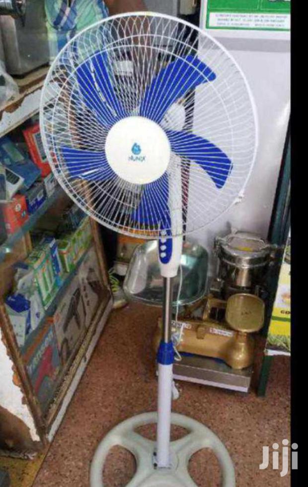 Risk Free Stand Fan