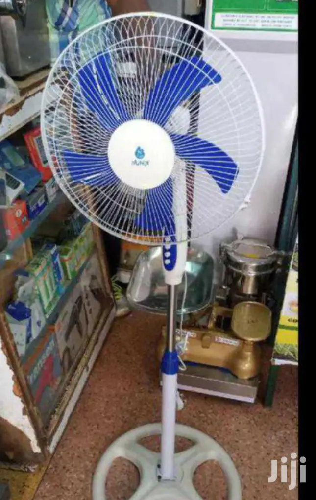 Risk Free Stand Fan