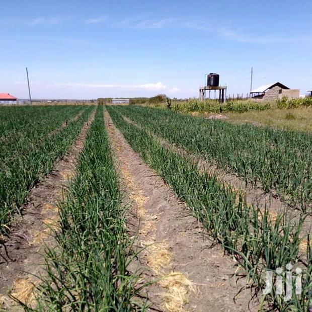 Drip Irrigation Systems For Sale 1 Acre - main view