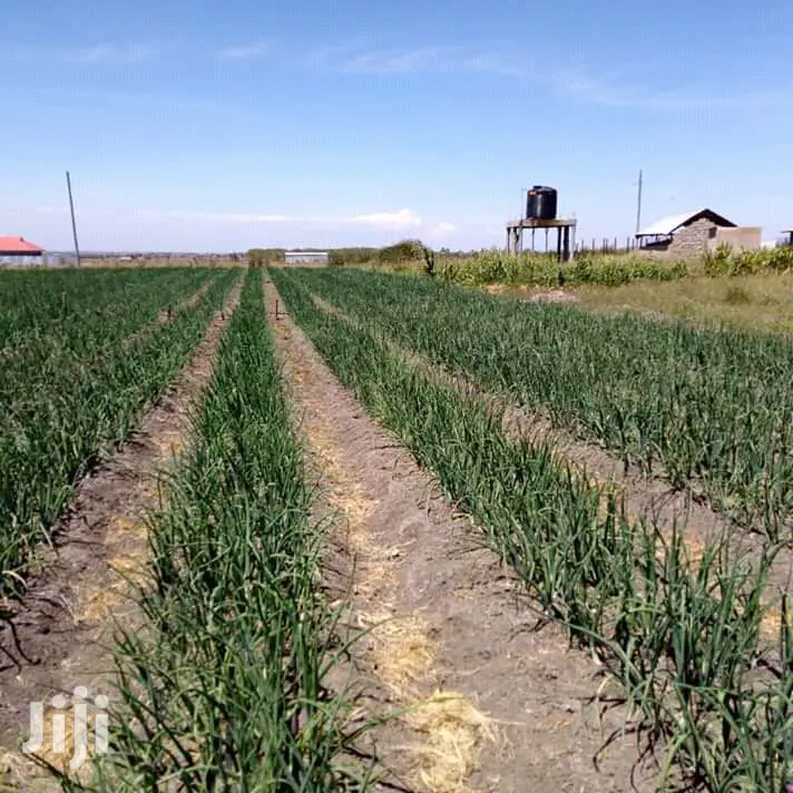 Drip Irrigation Systems For Sale 1 Acre