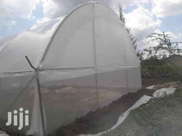 Greenhouses With Drips For 8m X 30m