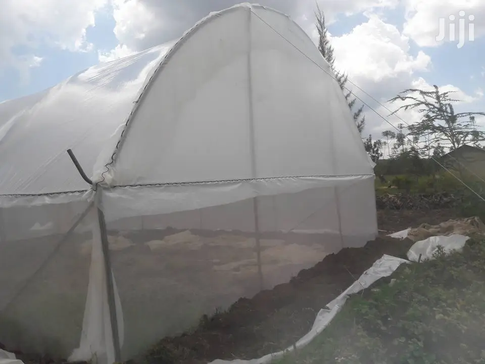 Greenhouses With Drips For 8m X 30m