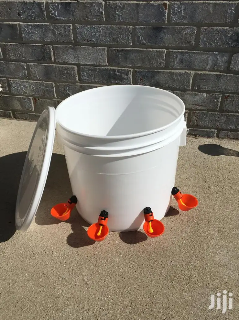 Automatic Chicken Cup Drinker