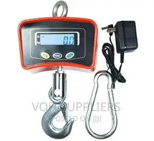 500kg Crane Industrial Scale