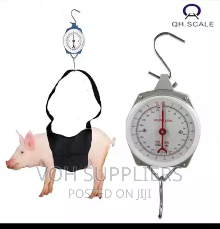 Spring Scale 100kg