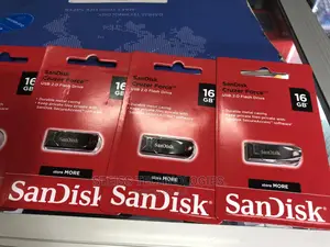 Sandisk Usb Drives