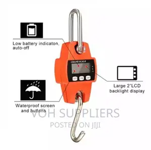 300kg Digital Hunging Scale
