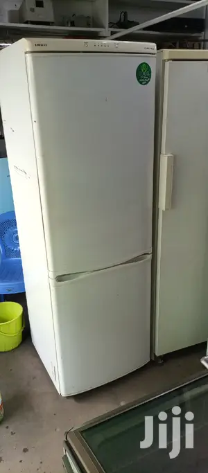 Fridge Bottom Freezer