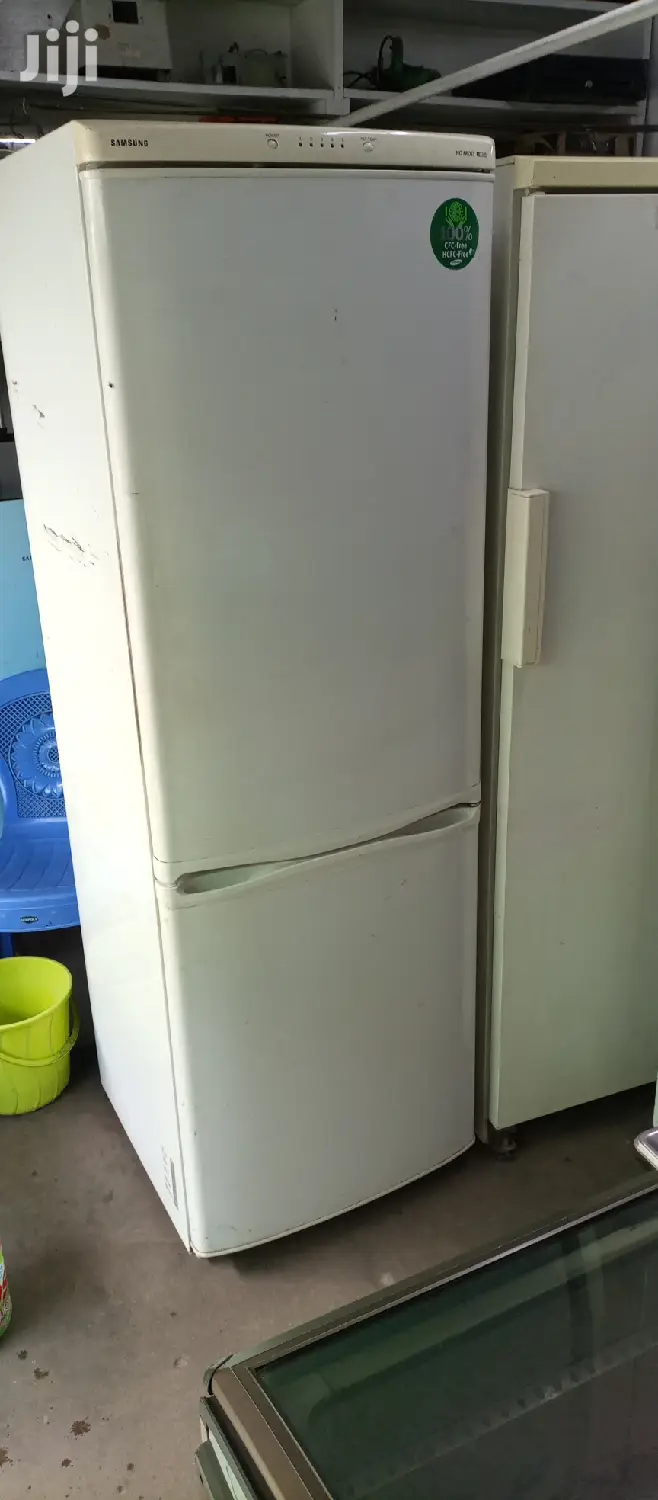 Fridge Bottom Freezer