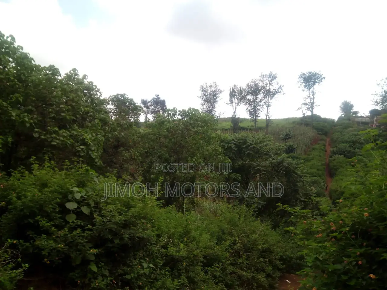Land For Sale In Kitusuru