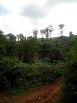 Land For Sale In Kitusuru