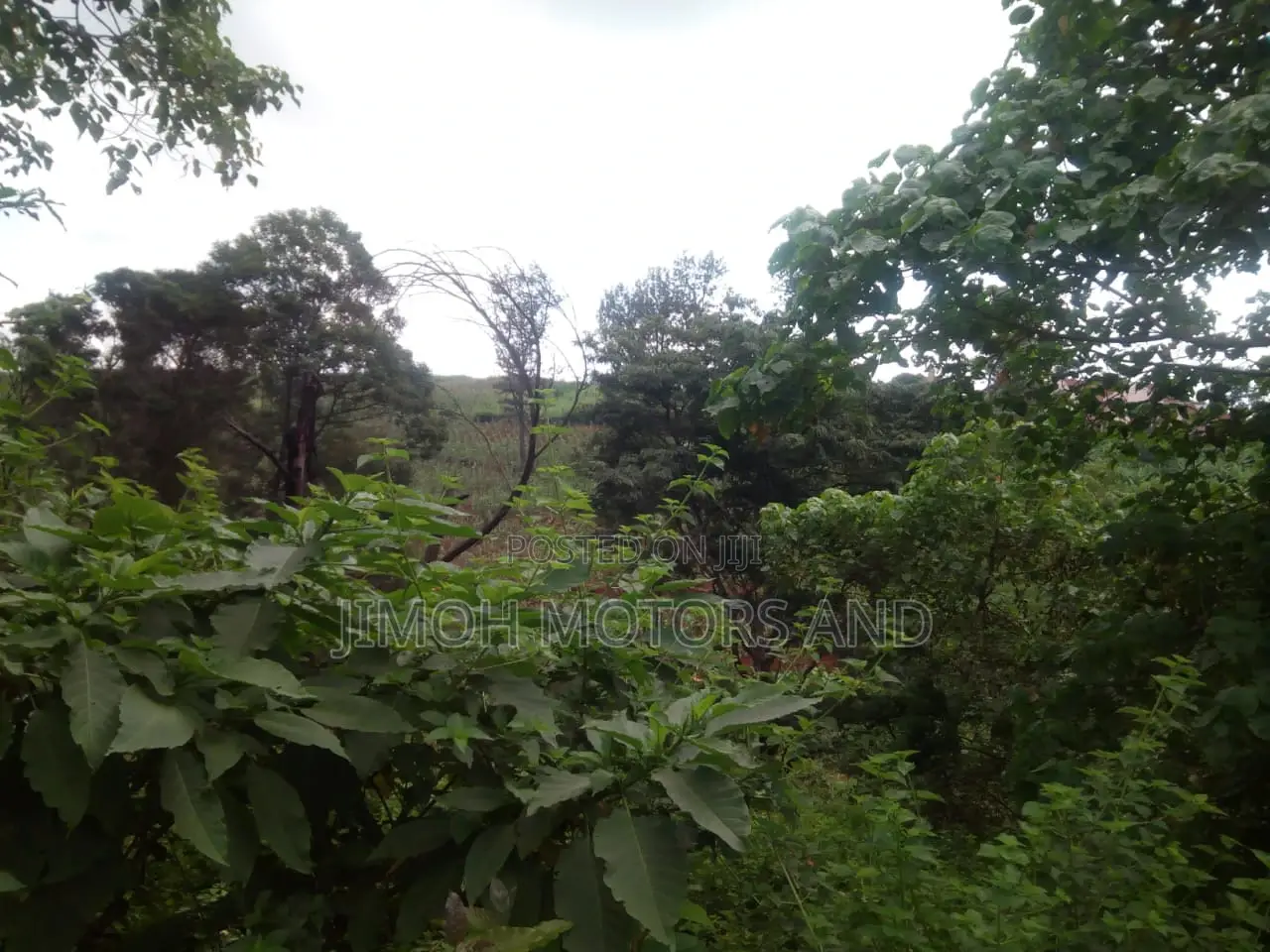 Land For Sale In Kitusuru