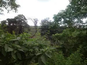 Land For Sale In Kitusuru