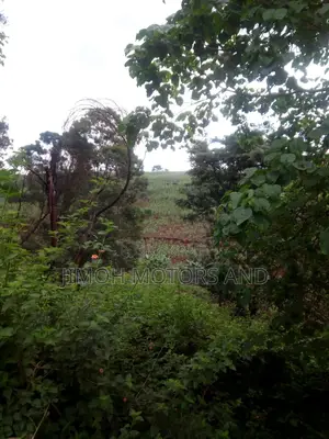 Land For Sale In Kitusuru