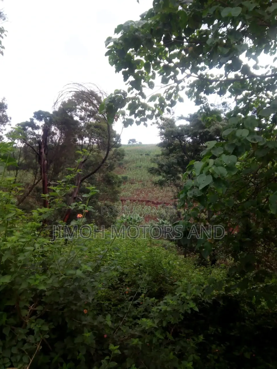 Land For Sale In Kitusuru