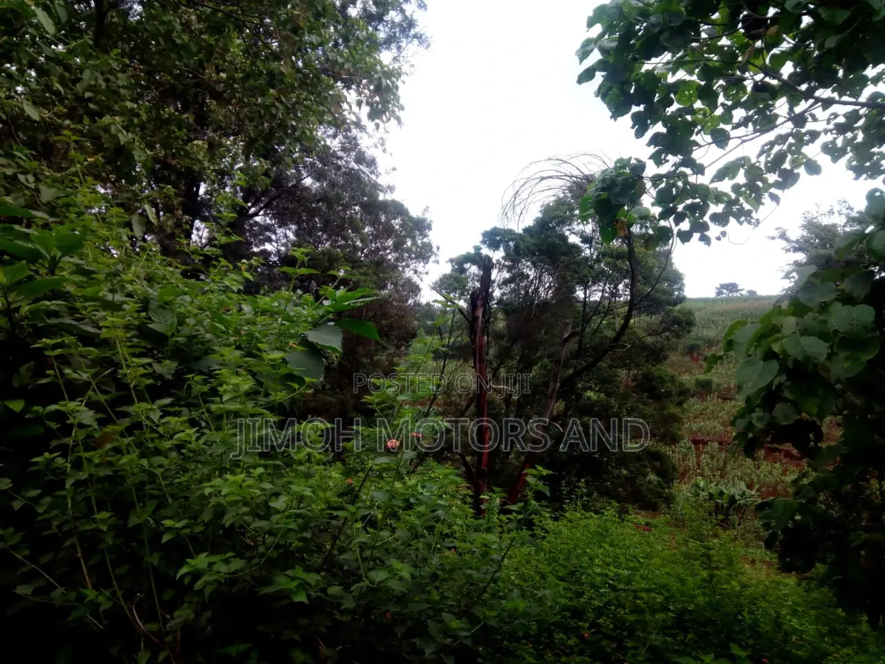 Land For Sale In Kitusuru